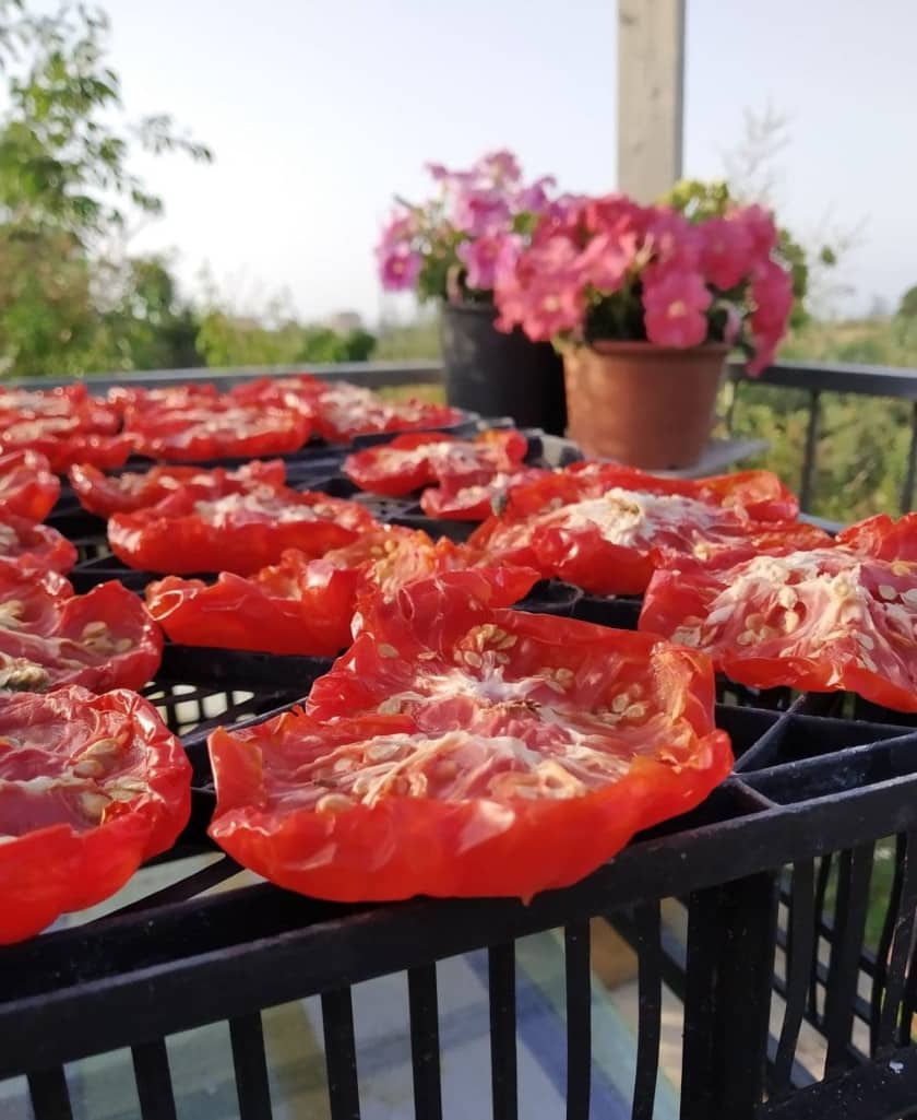 fare i pomodori secchi in casa al sole